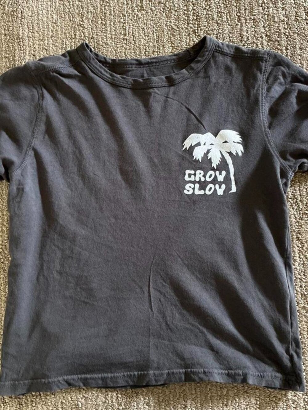 Billabong Women's Grey and Black T-shirt